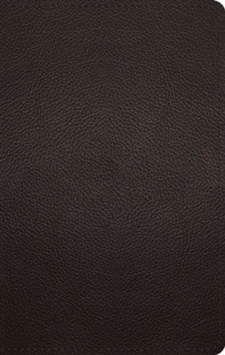ESV Large Print Personal Size Bible Deep Brown Buffalo Leather