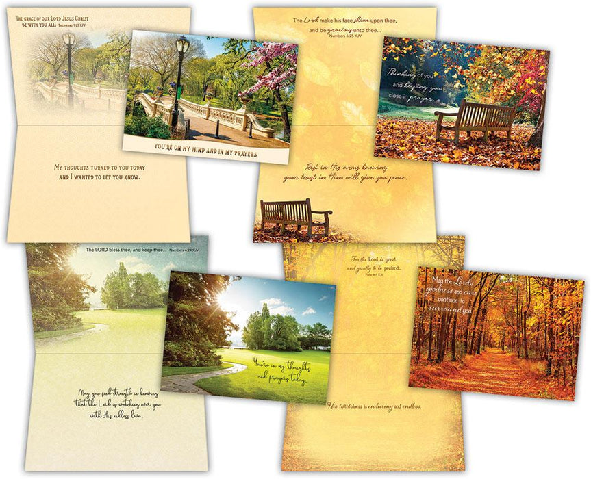Boxed Cards - Pathways - Thinking of You