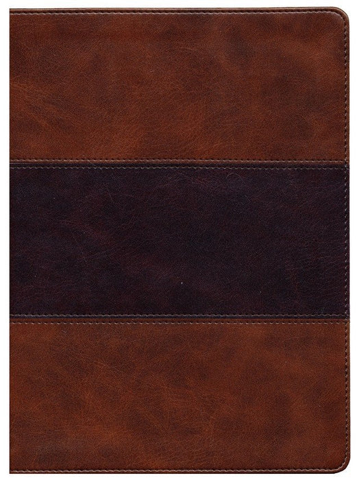KJV Study Bible Saddle Brown LeatherTouch, Indexed (Full-Color)