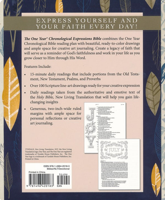 One Year Chronological Bible Creative Expressions - NLT - Paperback