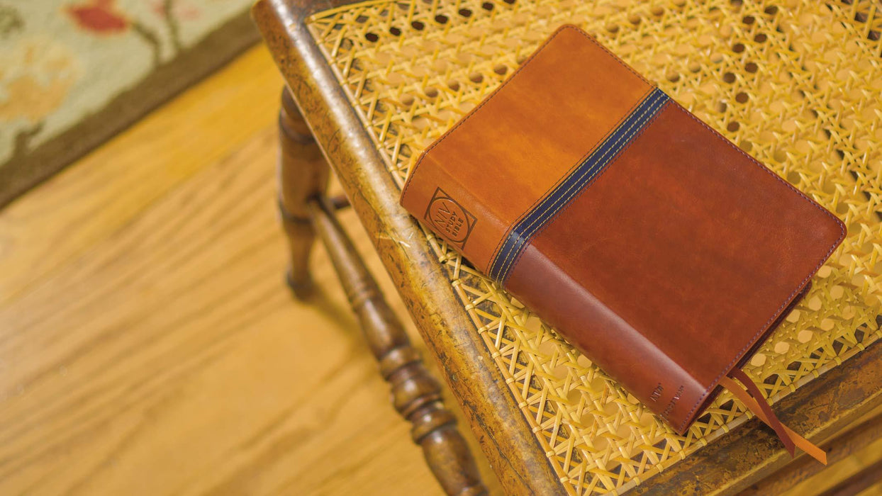 NIV Zondervan Study Bible - Personal Size - Brown/Blue DuoTone