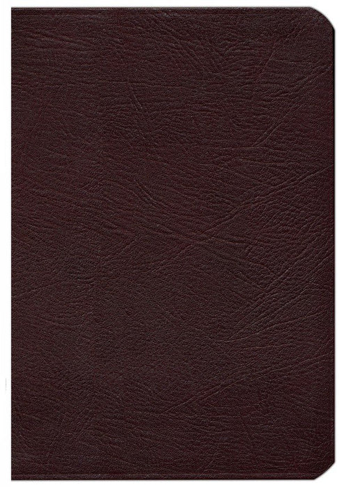 NIV Zondervan Study Bible Burgundy Bonded Leather