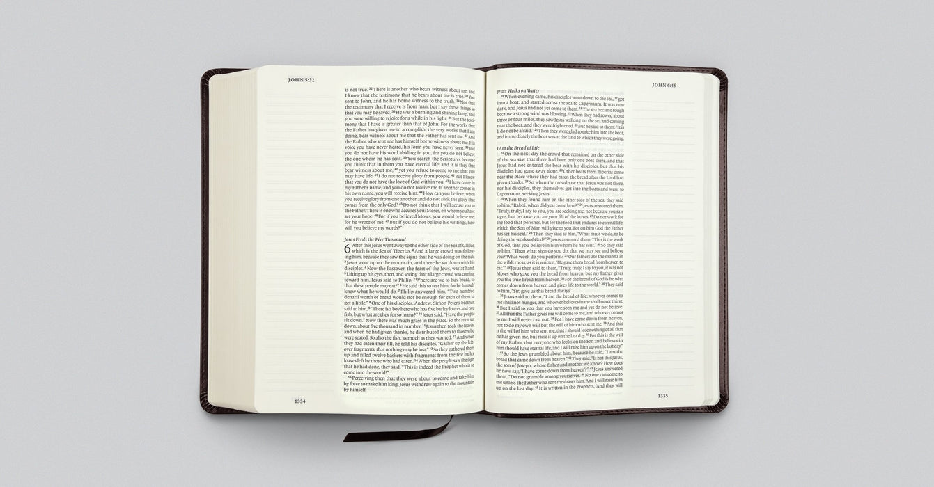 ESV Single Column Journaling Bible, Large Print, Deep Brown TruTone