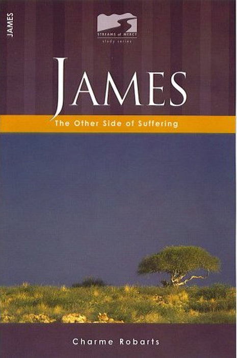 James - The Other Side of Suffering