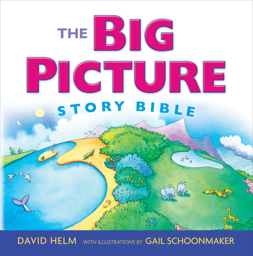 The Big Picture Story Bible, hardback