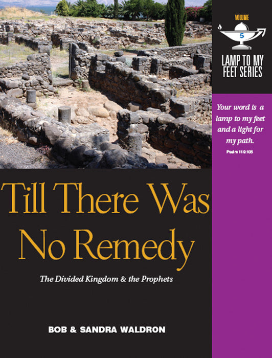 Till There Was No Remedy (Lamp to My Feet Book 5)