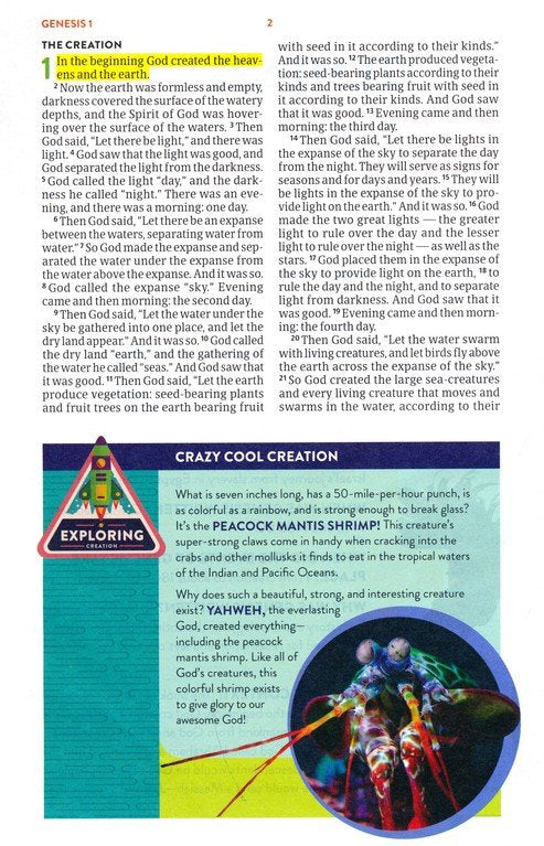 CSB Explorer Bible for Kids Mountains Brown LeatherTouch Indexed