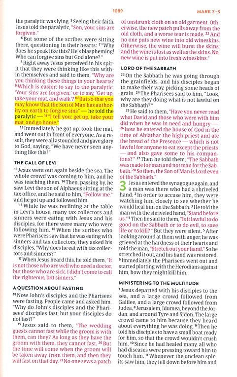 CSB Explorer Bible for Kids Mountain Light Teal Indexed