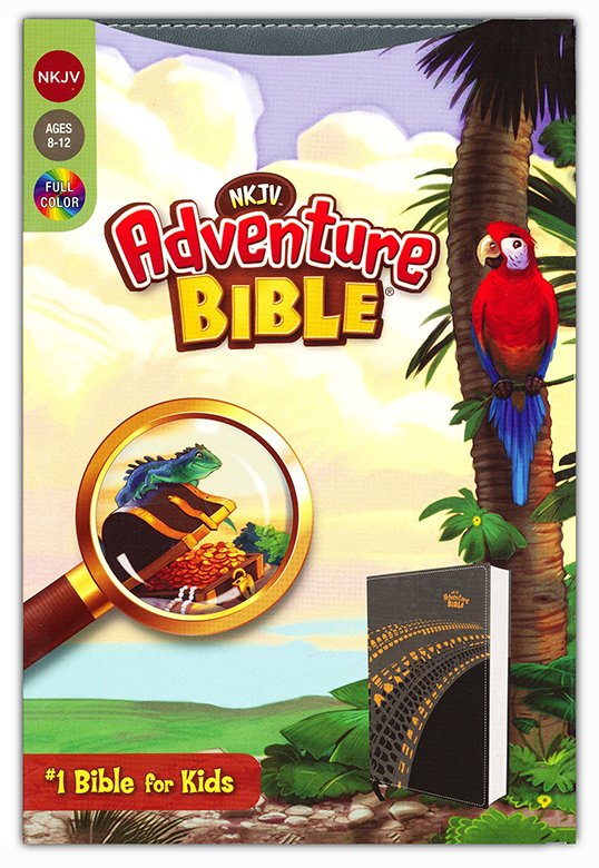 NKJV Adventure Bible Gray Leathersoft