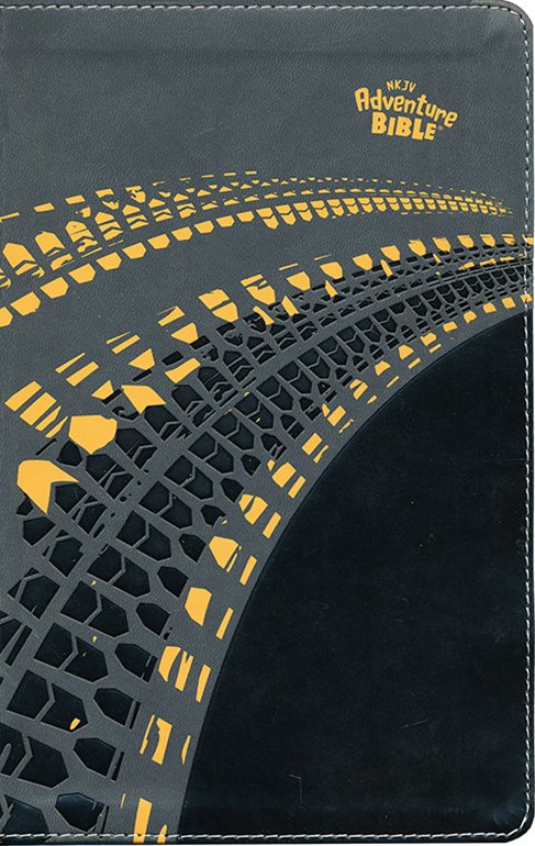 NKJV Adventure Bible Gray Leathersoft