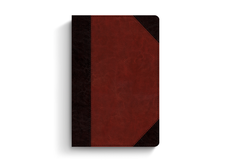 ESV Study Bible Personal Size Brown/Cordovan TruTone