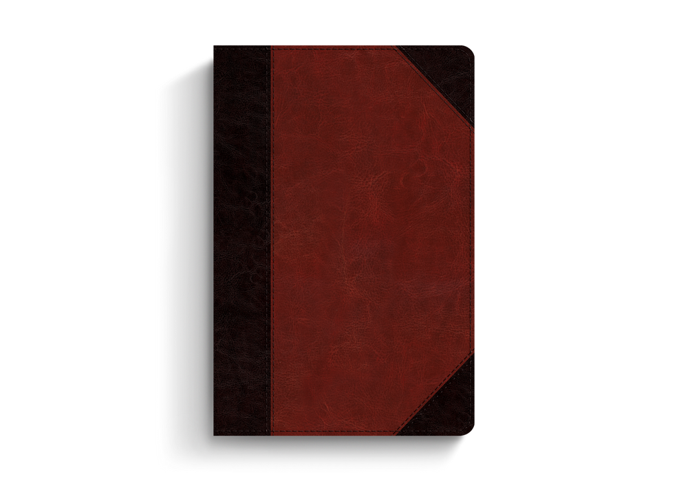 ESV Study Bible Personal Size Brown/Cordovan TruTone