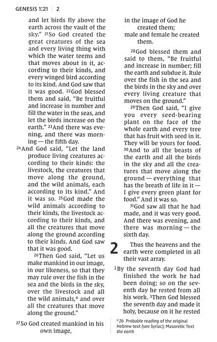 NIV Pew & Worship Bible Large Print Black (Church Bible)