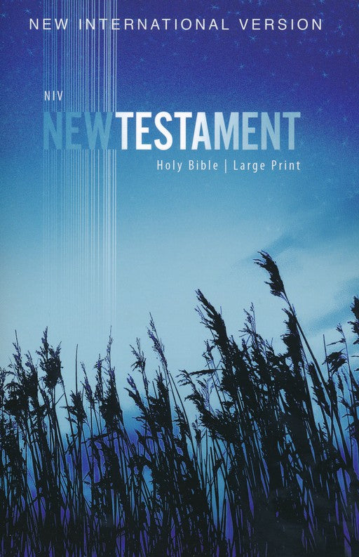 NIV Outreach New Testament Large Print, paperback