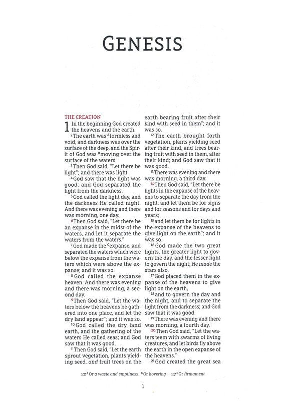 NASB 1995 Wide Margin Bible Brown Leathersoft