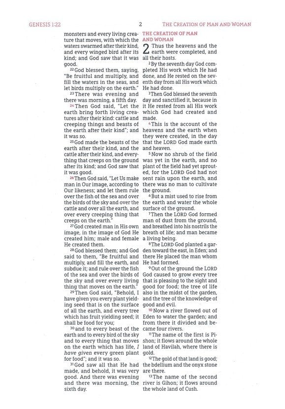 NASB 1995 Wide Margin Bible Brown Leathersoft