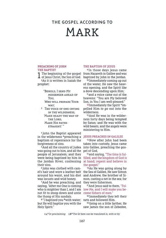 NASB 1995 Wide Margin Bible Brown Leathersoft