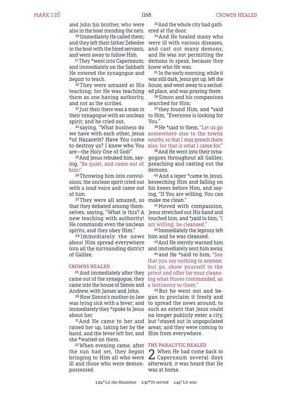 NASB 1995 Wide Margin Bible Brown Leathersoft