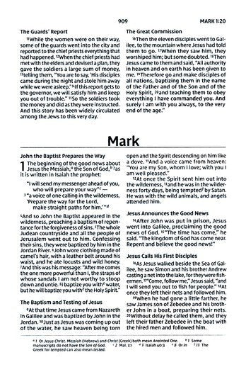 NIV Compact Bible, Military Edition: Military Camo Paperback