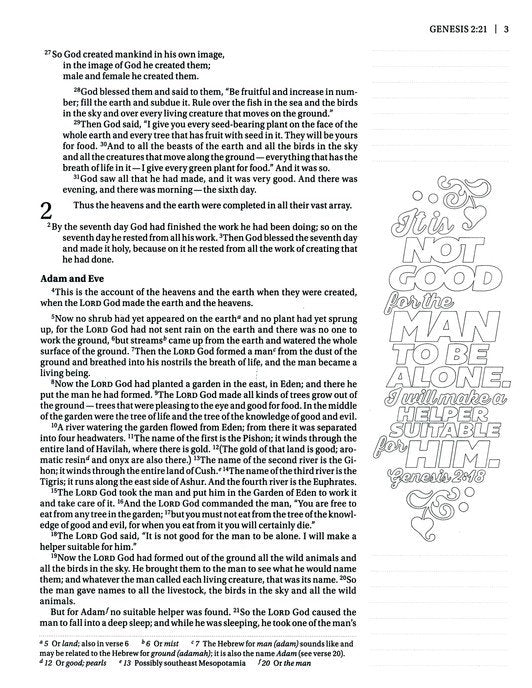 NIV Beautiful Word Coloring Bible Pink Leathersoft