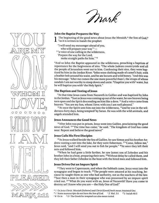 NIV Beautiful Word Coloring Bible Large Print Teal Floral Leathersoft