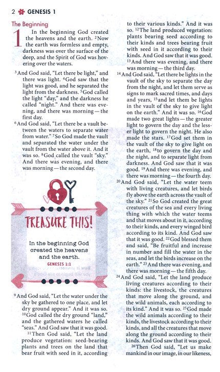 NIV Ultimate Bible for Girls Teal Leathersoft