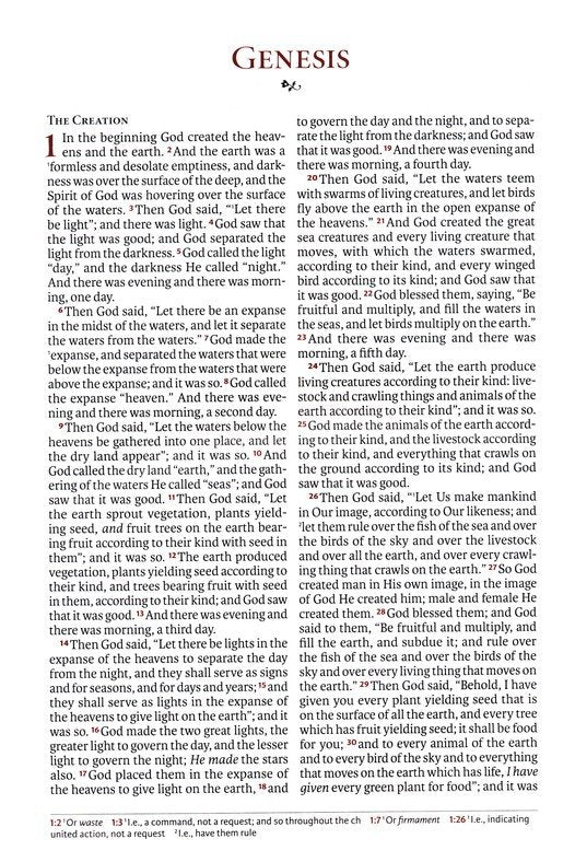 NASB Large Print Thinline Ref Bible 2020 Burnt Sienna Leathertouch