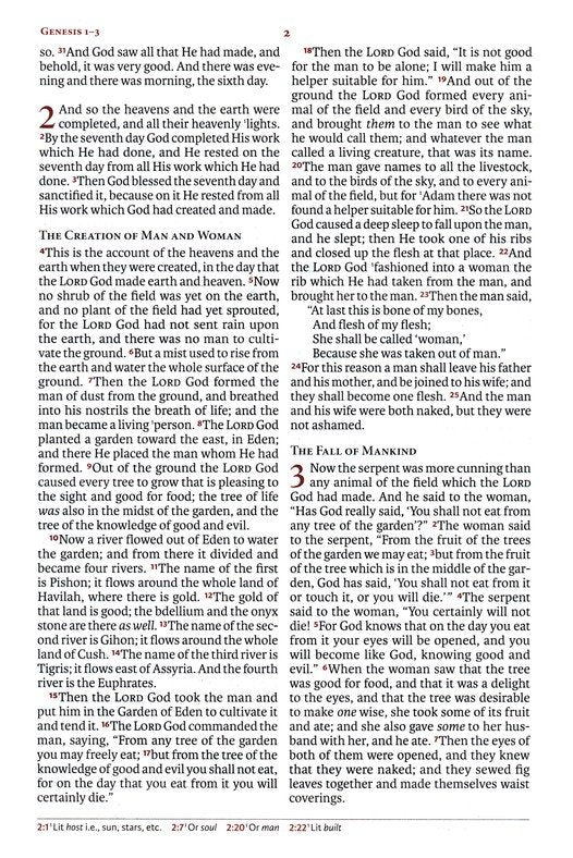 NASB Large Print Thinline Ref Bible 2020 Burnt Sienna Leathertouch