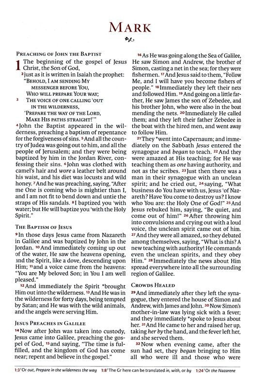 NASB Large Print Thinline Ref Bible 2020 Burnt Sienna Leathertouch