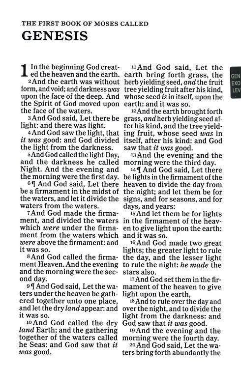 KJV Personal Size Giant Print Bible, Black Genuine Leather Indexed