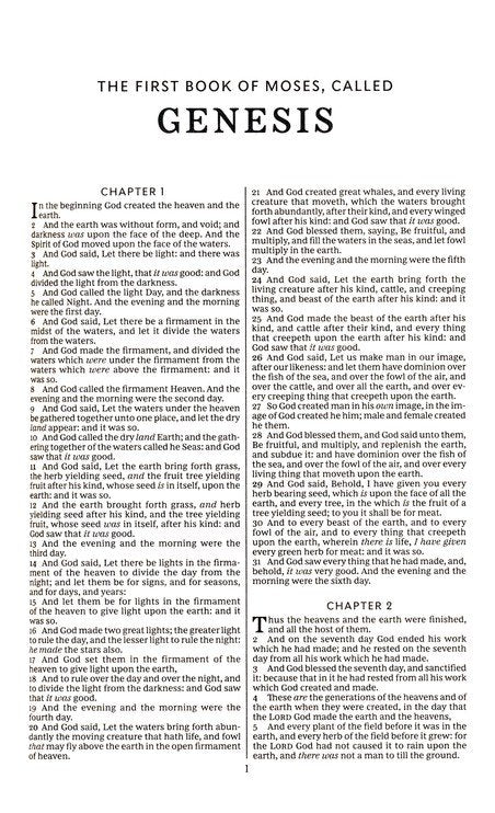 KJV Deluxe Gift Bible Rich Auburn Brown Leathersoft