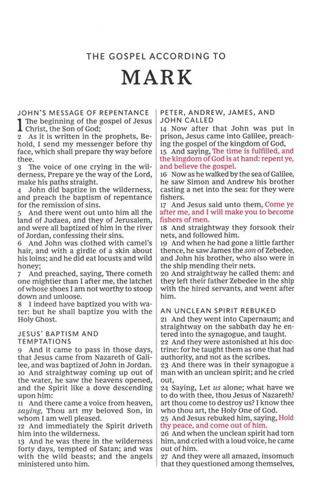 KJV Large Print Thinline Value Bible Black Leathersoft