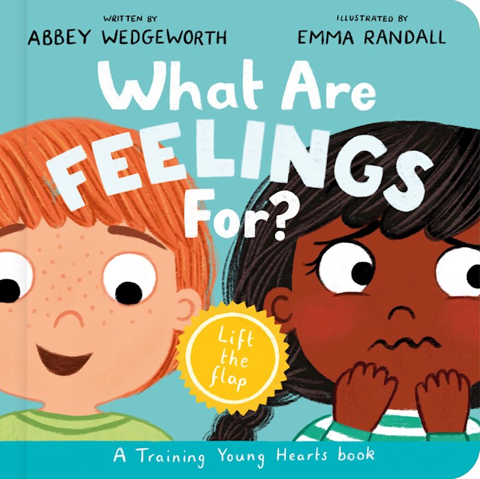 What Are Feelings For? Lift-the-flap Board Book