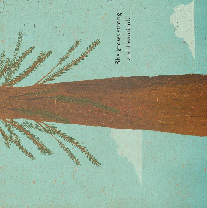 Strong: Psalm 1 Board Book