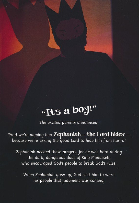 Zephaniah's Hero: God's Daring Dozen Minor Prophets Book 1