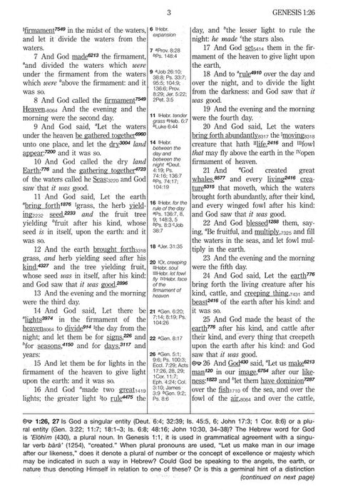 KJV Hebrew-Greek Key Word Bible Black Bonded Indexed