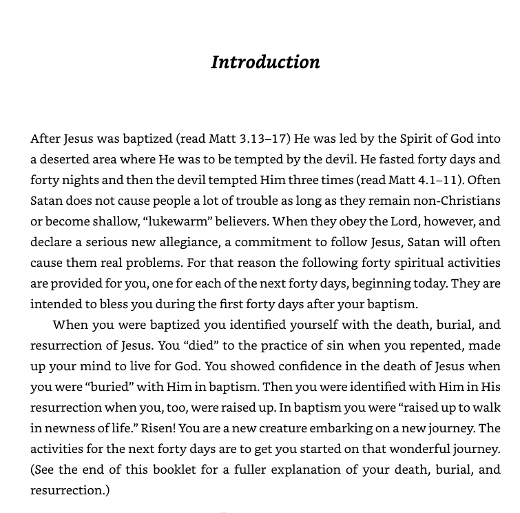 Risen: The First 40 Days of Your Christian Life