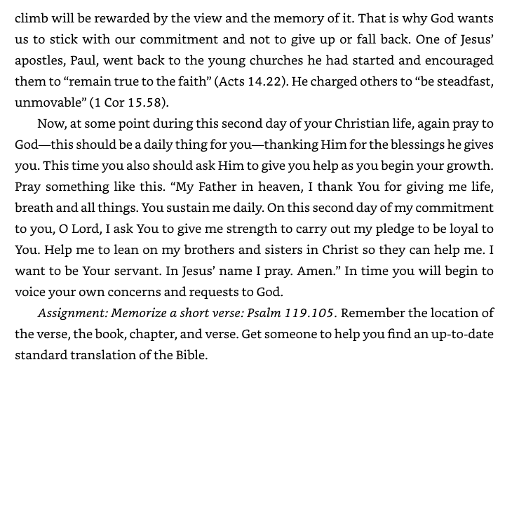 Risen: The First 40 Days of Your Christian Life