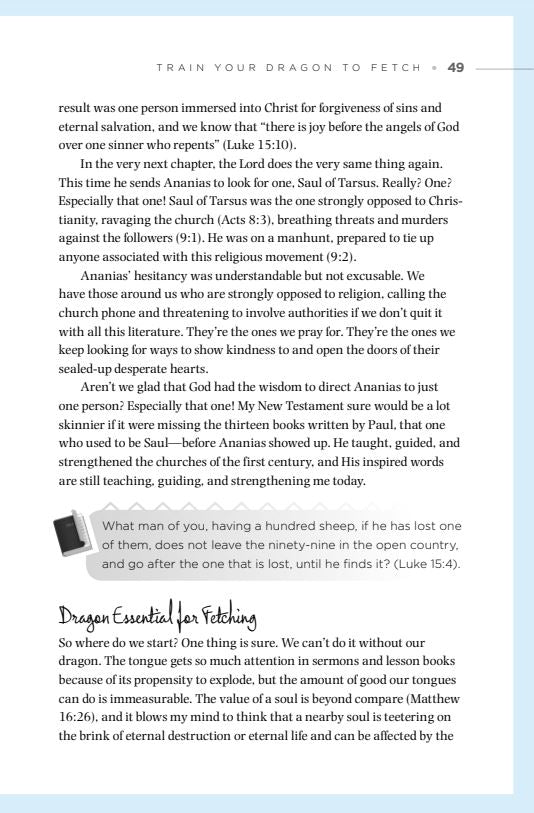 How To Train Your Dragon