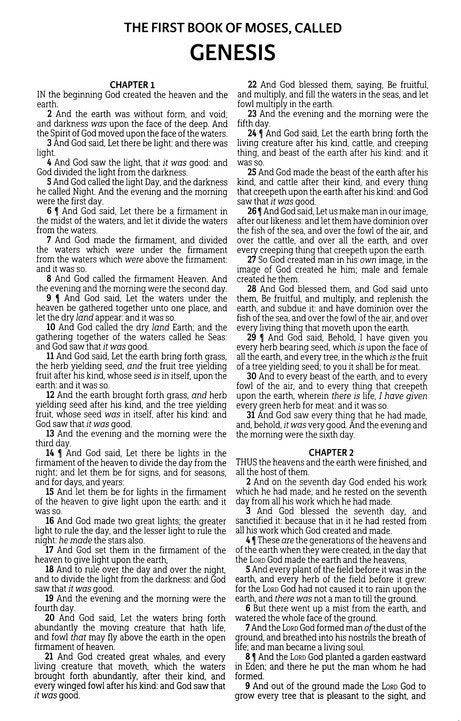 KJV Deluxe Gift Bible Black Luxury Faux leather