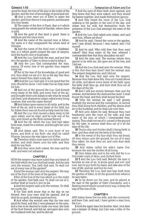 KJV Deluxe Gift Bible Black Luxury Faux leather