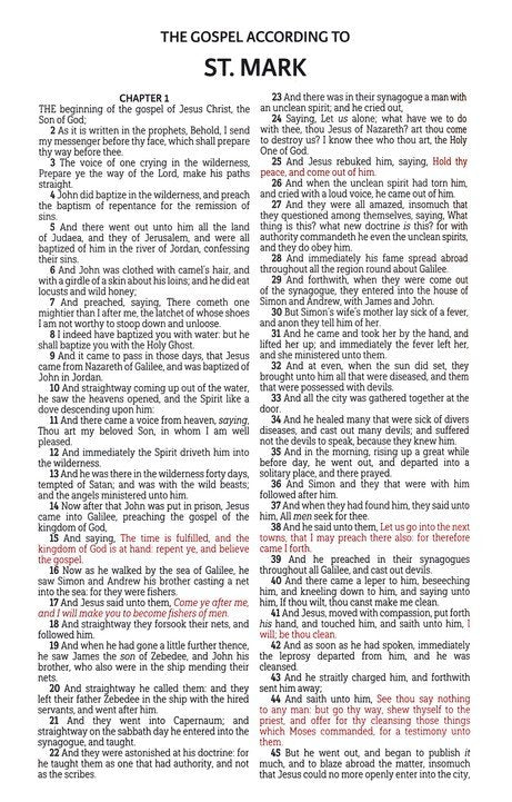 KJV Deluxe Gift Bible Black Luxury Faux leather