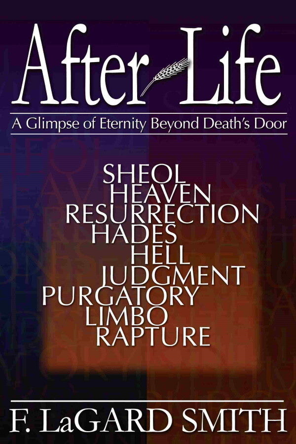 Afterlife: A Glimpse of Eternity Beyond Death's Door