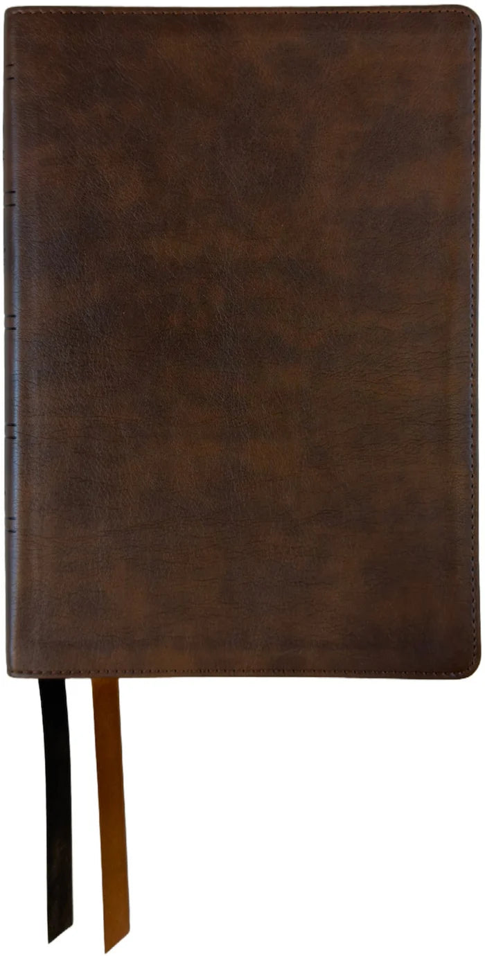 NASB 1995 Dyslexia-Friendly Bible