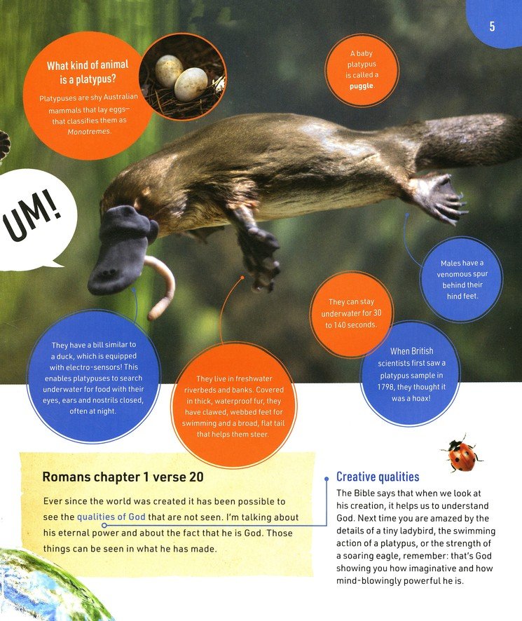 All About Bible Animals: Over 100 Amazing Facts About the Animals of the Bible