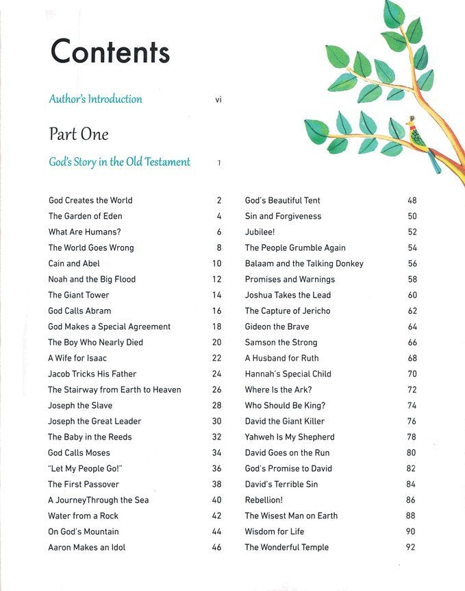 God's Big Picture Bible Storybook