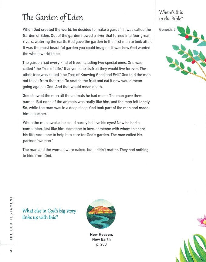 God's Big Picture Bible Storybook