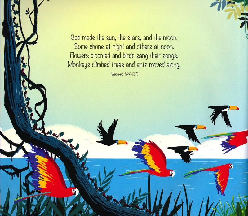 God's Great Plan Storybook Bible