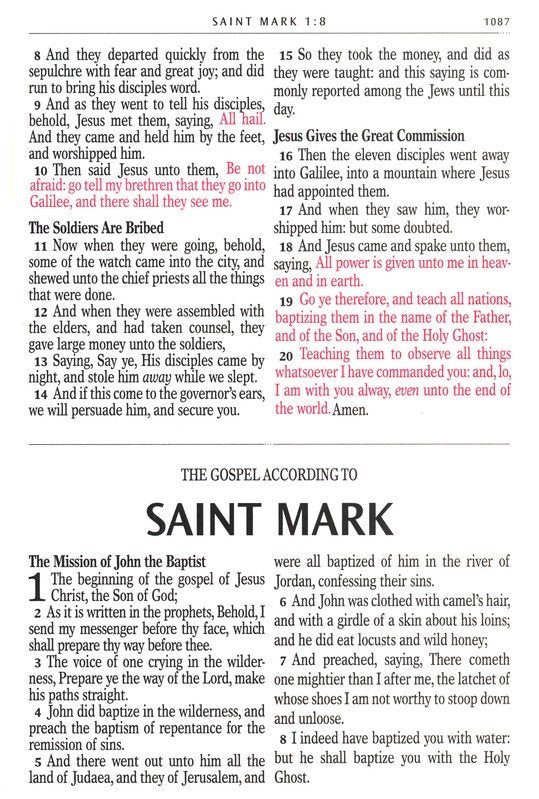 KJV Giant Print Full-Size Bible Floral Faux Leather Indexed