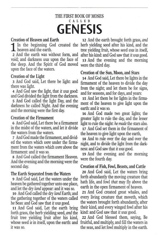 KJV Giant Print Full-Size Bible Floral Faux Leather Indexed